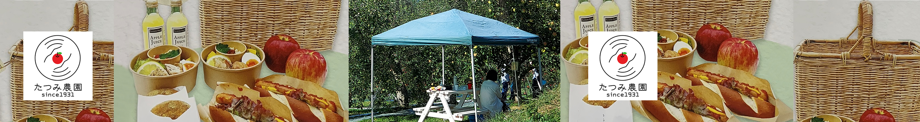 Fruit picnic at Tatsumi Farm