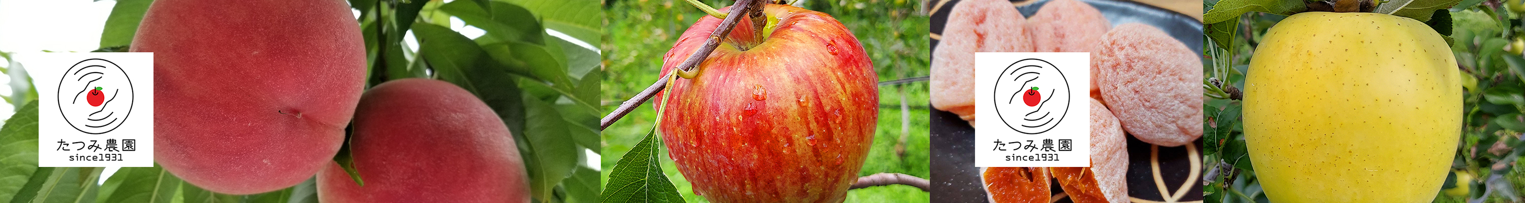 Tatsumi Farm Seasonal Fruits